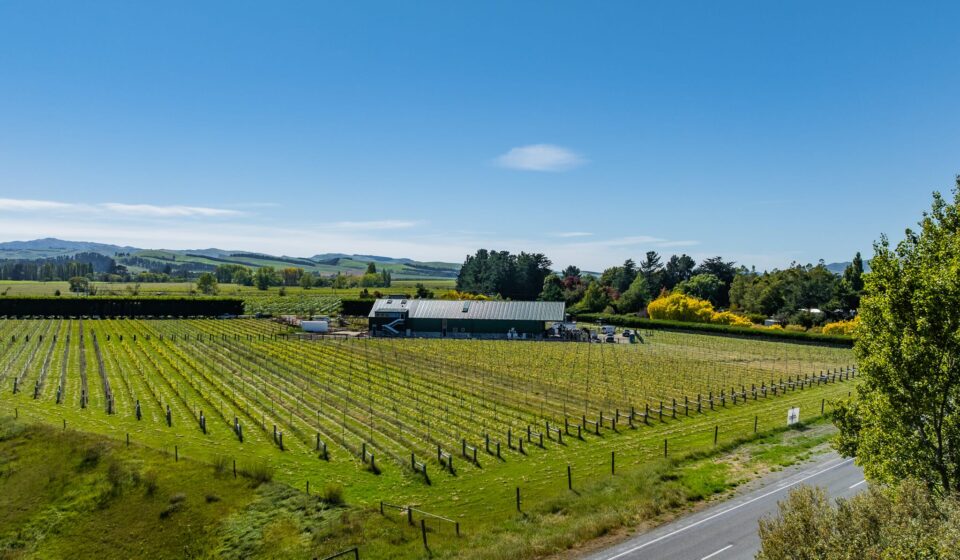 BG_Cooke_Glenberley_Winery_Fitout_Stage_24_3_26_Small_21